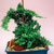 bonsai japanese penjing @ ApopkaFoliage.com