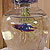 fish garden beta fighting fish @ ApopkaFoliage.com