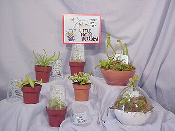 Carnivorous Plants
