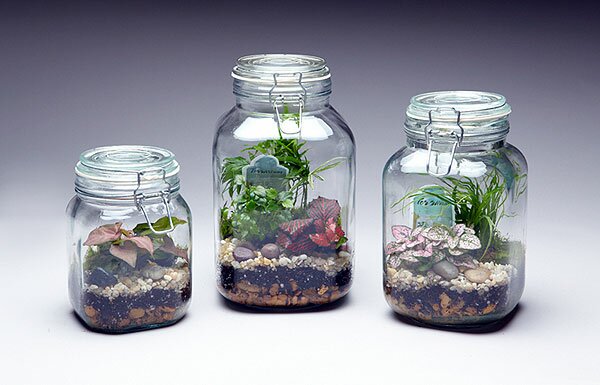 Fairy Gardens