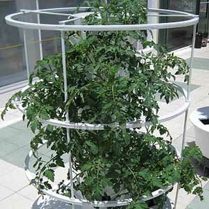 Tower Gardens by Hidden Valley