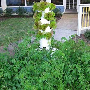 Tower Gardens by Hidden Valley